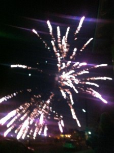 FireworksLisaSilvestri
